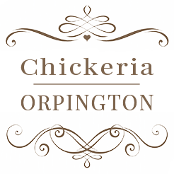 Orpingtons